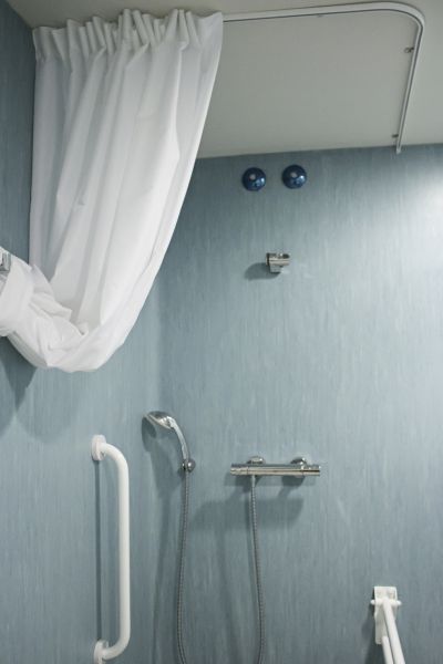 Cost of Senior Shower Installation in Williamsburg